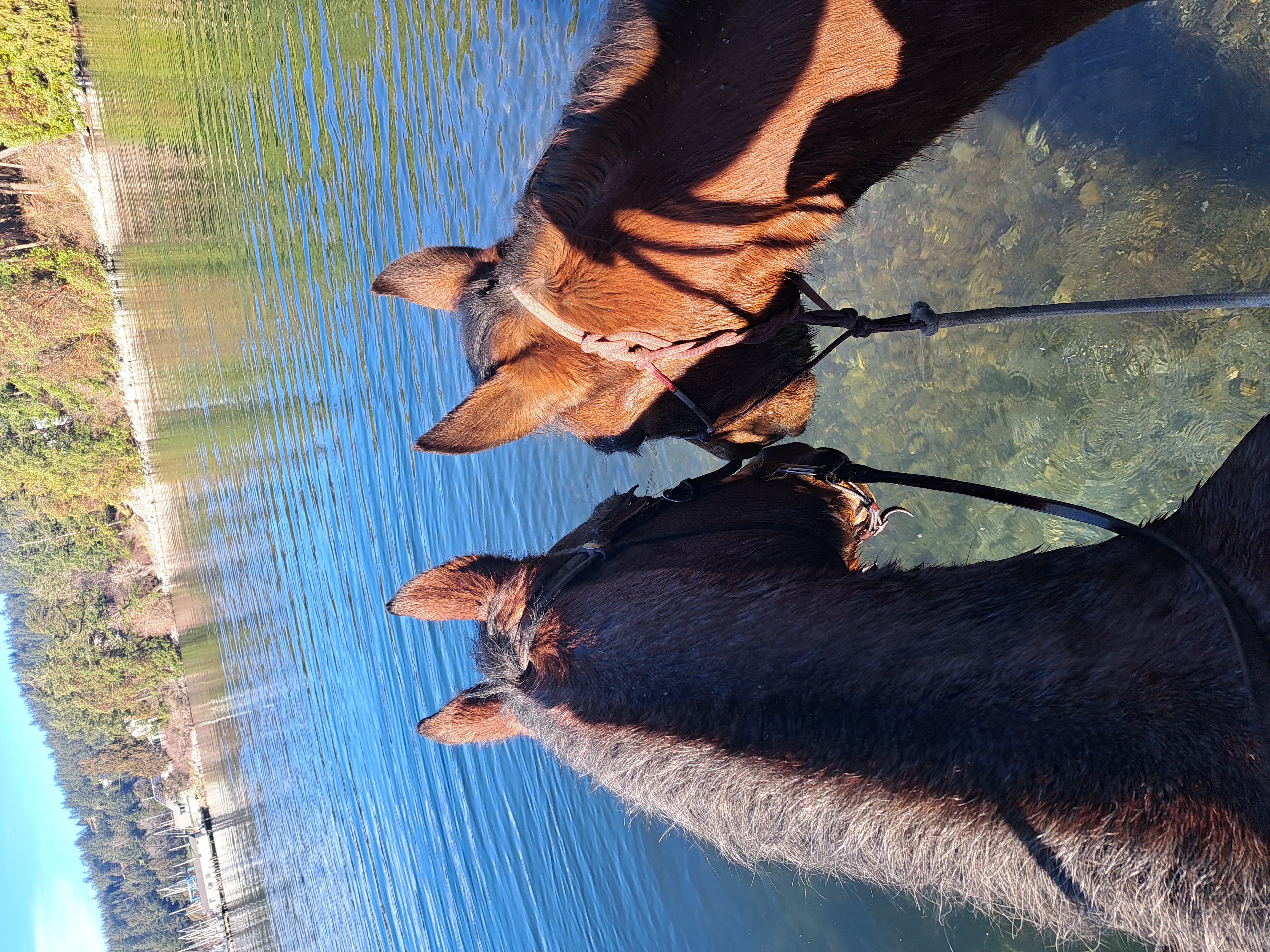 Abby Sale with horse on Orcas Island