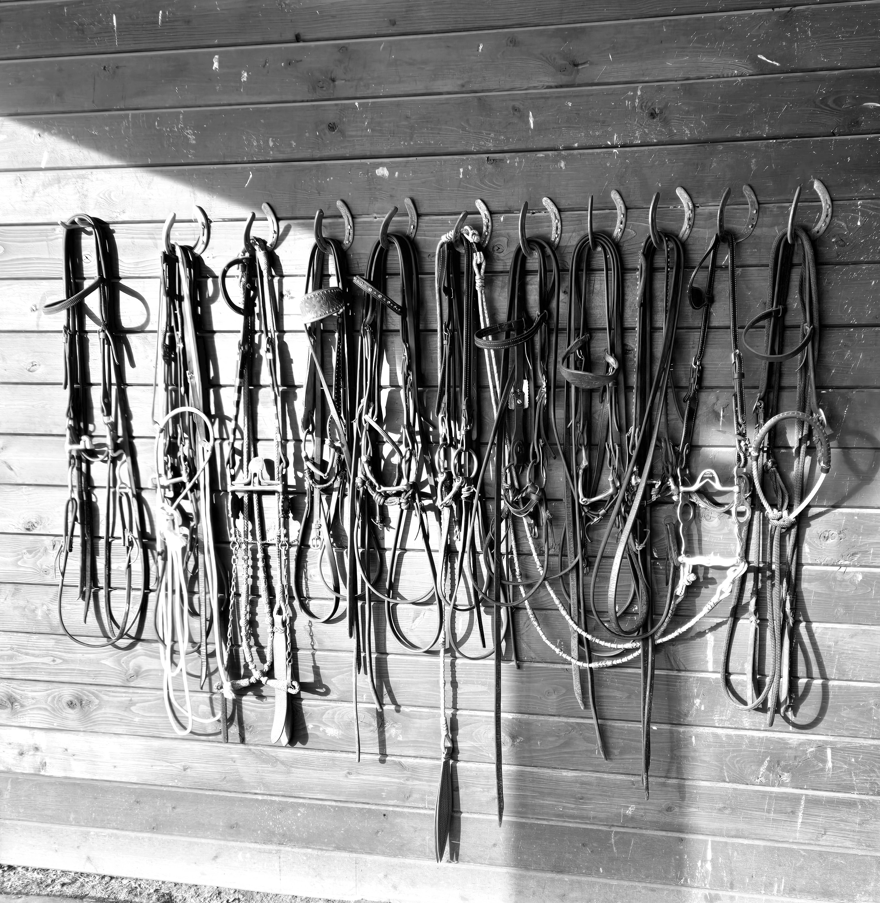 Offshore Equine barn