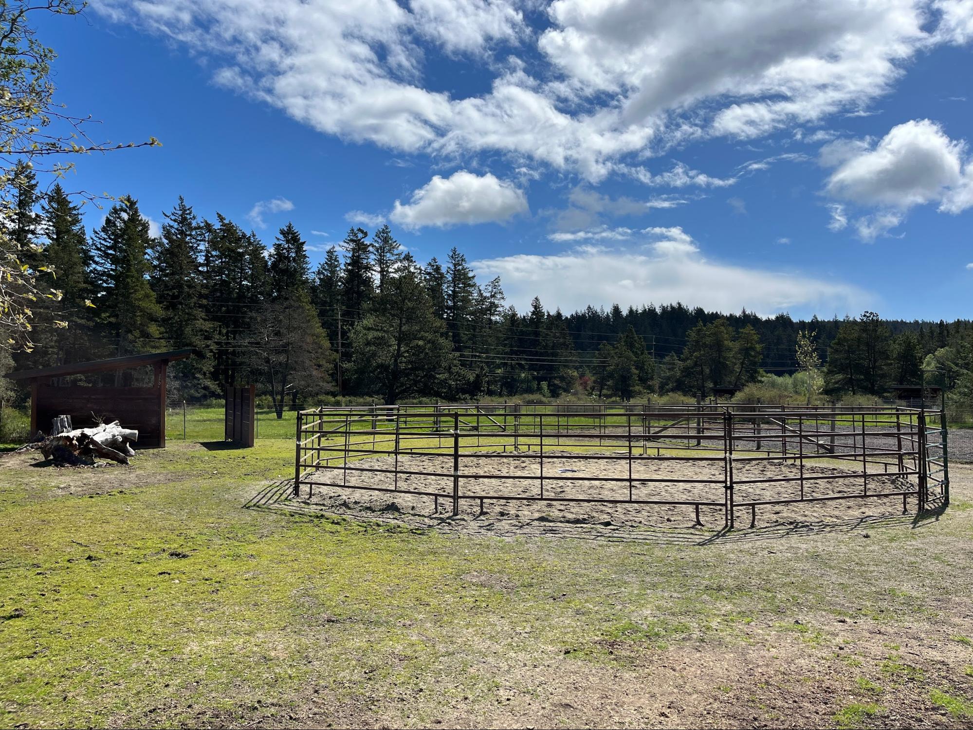 Horse care on Orcas Island